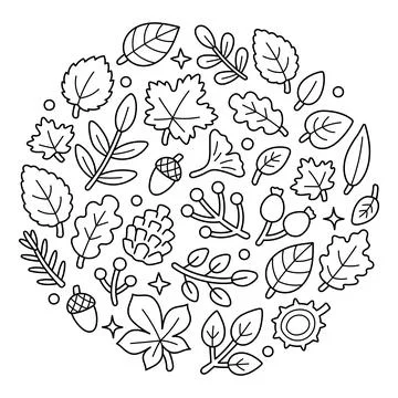 Autumn leaves circular composition. Maple, oak, ginkgo, rowan, rosehip and acorn Stock Illustration
