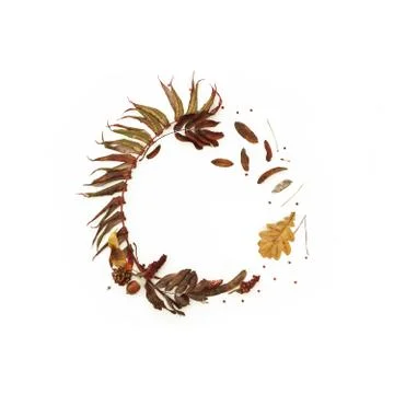Autumn leaves composition . Frame element on white background Stock Photos