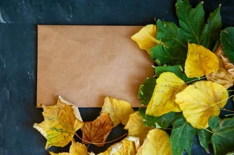 Autumn leaves composition. white paper, Cup of tea. Autumn fairy tales, Kraft Stock Photos