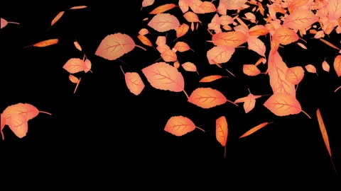 Autumn leaves on a dark background Video stock 345154473