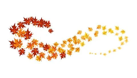 Autumn leaves design element. Fall colorful maple leaves border on white Illustrazione stock