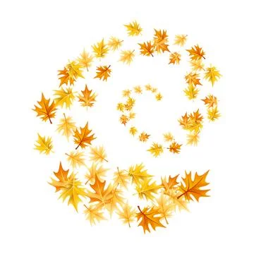 Autumn leaves design element. Fall colorful maple leaves border on white Stock Illustration