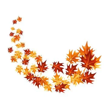 Autumn leaves design element. Fall colorful maple leaves border on white Stock Illustration