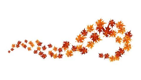 Autumn leaves design element. Fall colorful maple leaves border on white Illustrazione stock
