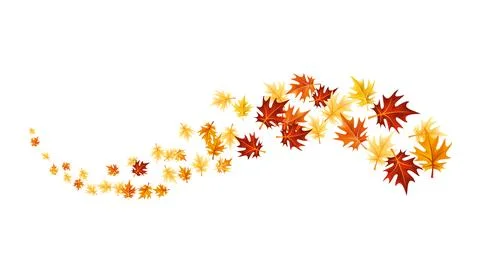 Autumn leaves design element. Fall colorful maple leaves border on white Stock Illustration