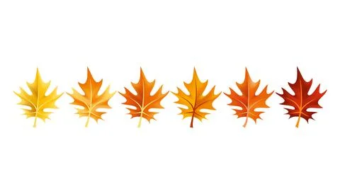 Autumn leaves design element. Fall colorful maple leaves border on white Stock Illustration