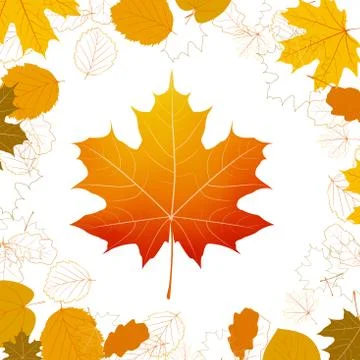 Autumn leaves design elements. plus EPS10 Stock Illustration