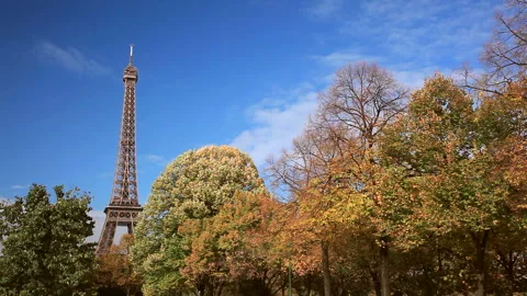 Autumn Leaves at the Eiffel Tower Stock Footage 332450372