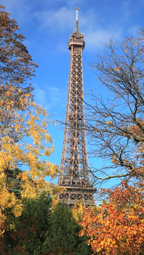 Autumn Leaves at the Eiffel Tower Stock Footage 332450379