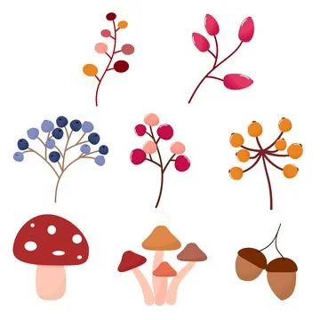 Autumn leaves elements collection Stock Illustration