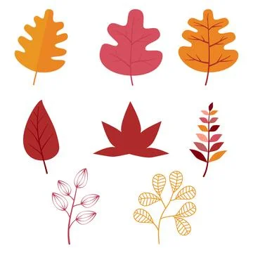 Autumn leaves elements collection Stock Illustration