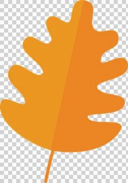 Autumn leaves elements Stock Illustration