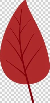 Autumn leaves elements Illustrazione stock