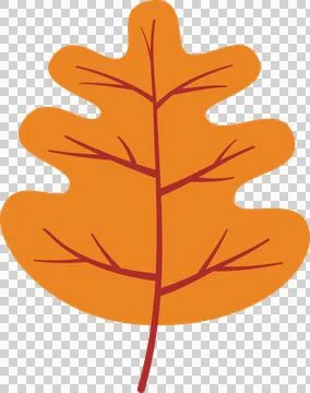 Autumn leaves elements Stock Illustration