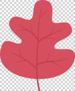 Autumn leaves elements Stock Illustration