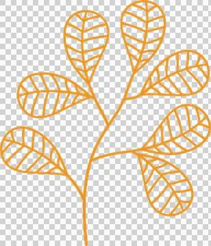 Autumn leaves elements Stock Illustration