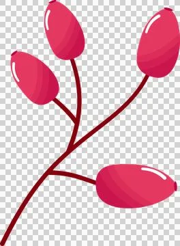 Autumn leaves elements Illustrazione stock