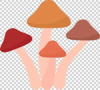 Autumn leaves elements Illustrazione stock