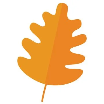 Autumn leaves elements Illustrazione stock