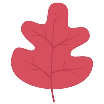 Autumn leaves elements Stock Illustration