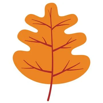 Autumn leaves elements 스톡 일러스트