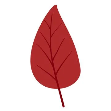 Autumn leaves elements Stock Illustration