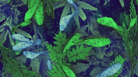 Autumn Leaves Fall 03 Stock Footage 294054515
