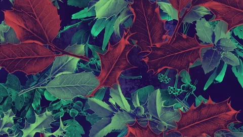 Autumn Leaves Fall 04 Stock Footage 294054516