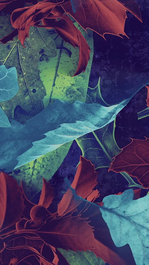 Autumn Leaves Fall 07 Stock-Footage 294055533