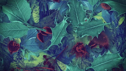 Autumn Leaves Fall 12 Stock Footage 294055607
