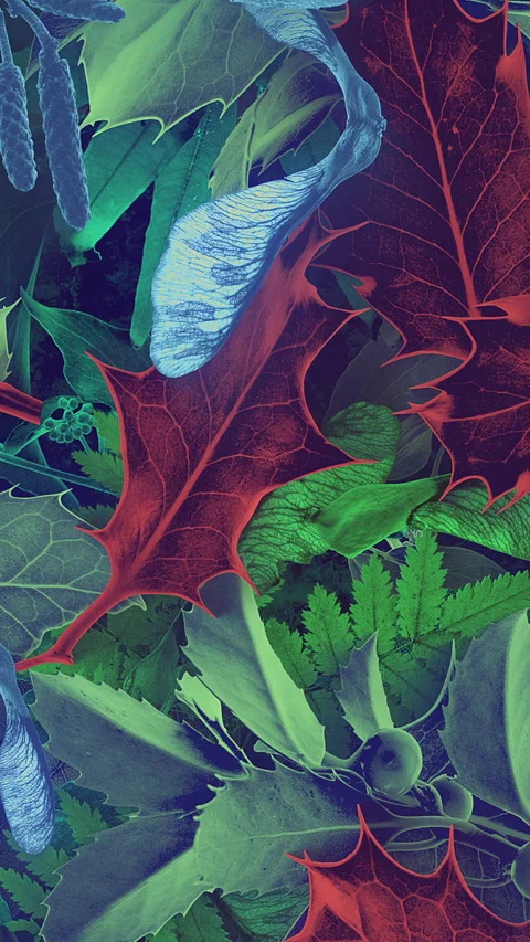 Autumn Leaves Fall 19 Video stock 294055908