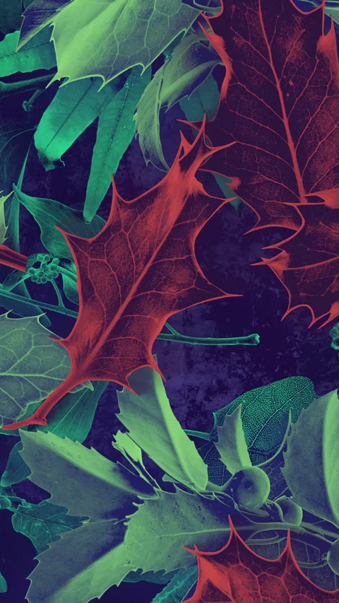 Autumn Leaves Fall 25 Stock Footage 294056113