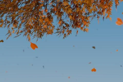 Autumn leaves fall gently from a tree against a clear blue sky. Illustrazione stock
