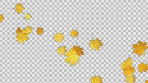 Autumn Leaves Falling 01 Stock Footage 64705051