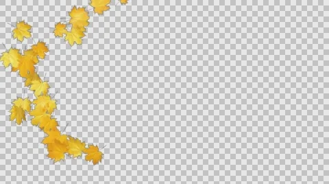 Autumn Leaves Falling 03 Stock Footage 64705057