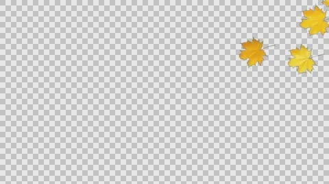 Autumn Leaves Falling 04 Stock Footage 64705049