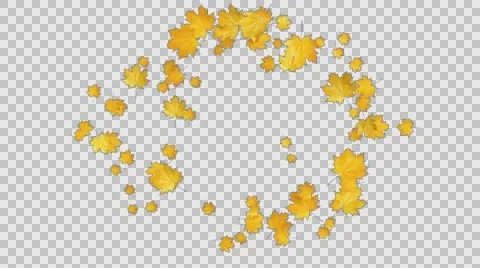 Autumn Leaves Falling 05 Stock Footage 64705100