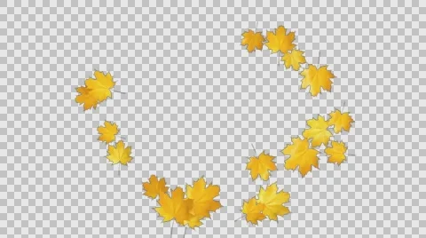 Autumn Leaves Falling 06 Stock Footage 64705061