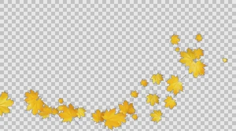Autumn Leaves Falling 07 Stock Footage 64705048