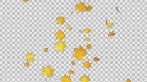 Autumn Leaves Falling 08 Stock Footage 64705070