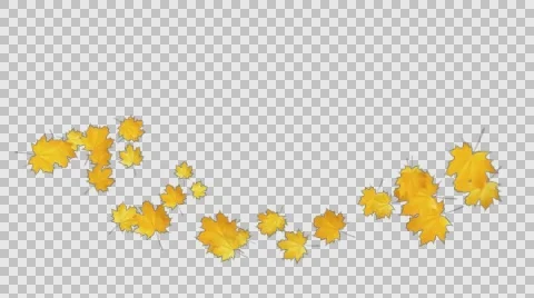 Autumn Leaves Falling 09 Video stock 64705072