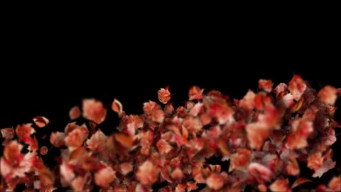 Autumn Leaves Falling Animation 4K UHD Video Overlay for Seasonal Content Stock Footage 344014938