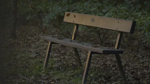 Autumn leaves falling on bench Video stock 56863138
