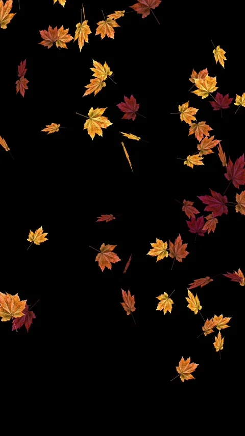Autumn Leaves Falling on Black Background Vertical Video Stock Footage 331562070