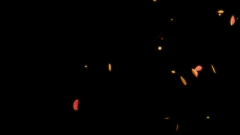 Autumn Leaves Falling on Black Background, Seamless Loop Animation in 4K Stock Footage 334812839