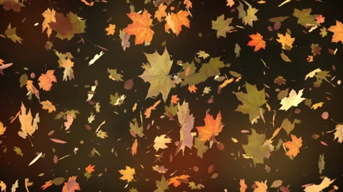 Autumn leaves falling on defocused background 스톡 동영상 142013369