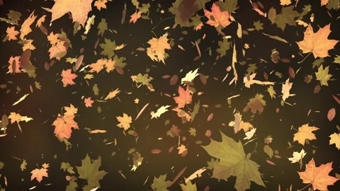 Autumn leaves falling on defocused background Video stock 142013386