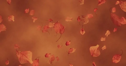 Autumn leaves falling down on brown background Stock Footage 66370177