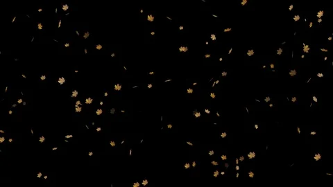 Autumn leaves falling down Stock Footage 102765928