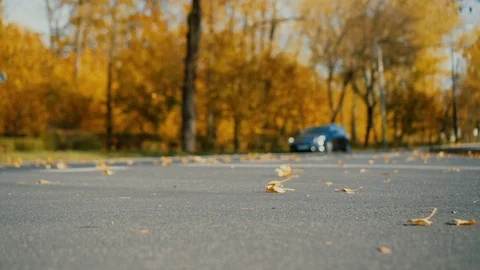 Autumn leaves falling down on the road and rolling on the highway. Stock Footage 118776687